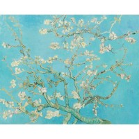 BTS NDRC Lycée Van Gogh Ermont logo - Similar company to Aide Bts Assurance