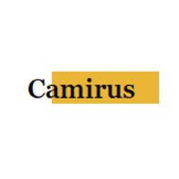 Camirus logo - Similar company to Pro Enviro Ltd