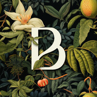 Belantara logo - Similar company to Orion Naval Solutions