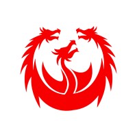 Lightning Dragon logo - Similar company to Fenix Global