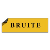 Bruite Media Co. logo - Similar company to Jvjplus