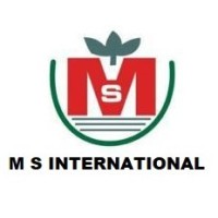 M S INTERNATIONAL logo - Similar company to Evaara Tableware