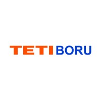 TETI BORU logo - Similar company to Probsan Profil Boru Sanayi Ve Ticaret A.Ş.