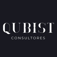 Qubist logo - Similar company to Arya Consulting