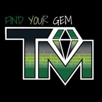 The Talent Mine logo - Similar company to It Leaders