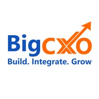 BIG CXO PRIVATE LIMITED logo - Similar company to Cxo Jobs