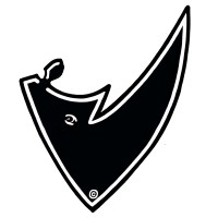 The Black Rhino Group, LLC (A Subsidiary of Black Rhino Companies, Inc.) logo - Similar company to Qsentinel