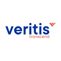 Veritis Group Inc logo - Similar company to Tech Allies