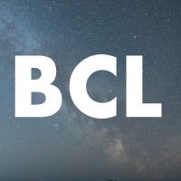Belvidere Consulting Ltd