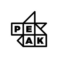 Peak logo - Similar company to Wiseops(Acq. By Cloudkeeper)