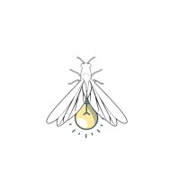 Firefly Manufatura Aditiva logo - Similar company to Limbx