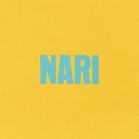 Studio NARI logo - Similar company to Studio Veronica