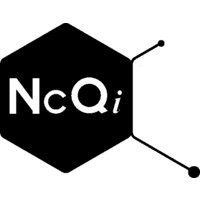 NCQi logo - Similar company to Soy.Marketing