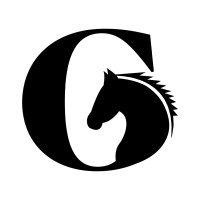 GoldenGallop Marketing logo - Similar company to Brahmos Interactive