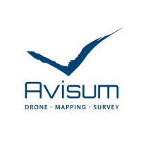 Avisum logo - Similar company to Mozer