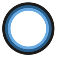 CIT Ortho logo - Similar company to Bledsoe Brace Systems & Viscent Llc