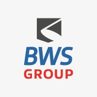 BWS Group logo - Similar company to Black Mountain Solutions - Latam Protection & Secure Travel Services