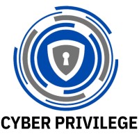 Cyber Privilege logo - Similar company to Cyber Sphere