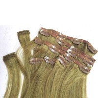 human hair supplier logo - Similar company to Storefoundry