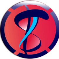Salesthrust IT Services Pvt Ltd logo - Similar company to G Optimizers