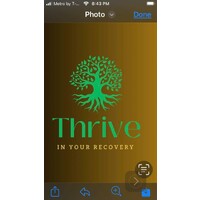 The THRIVE in Your Recovery ❤️🩹 Coach, LaShawn Erby logo - Similar company to Ad Marketplace Llc