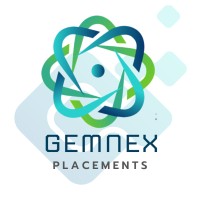 GemNex Placements logo - Similar company to Jer 31 & Associates Recoveries