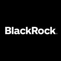 BlackRock logo - Similar company to Morgan Stanley