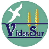 Videssur