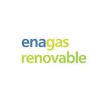 Enagás Renovable logo - Similar company to Enagás
