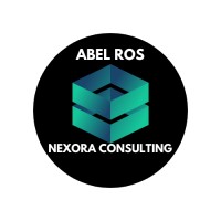 Nexora - Consultoría de Amazon logo - Similar company to The Eagle Flight