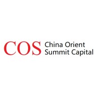 COS-Capital Hong Kong International Co. Ltd. logo - Similar company to Cloudstone Capital Group