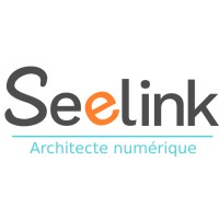 Seelink logo - Similar company to Owlcub