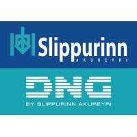 Slippurinn DNG logo - Similar company to Framtak Blossi
