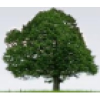 Green ECO Institute, Inc. logo - Similar company to Marine One Solutions
