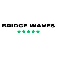 BRIDGE WAVES logo - Similar company to Ophir Solution