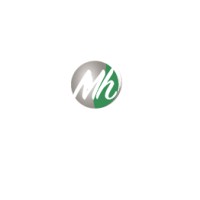 Masithuthuke Holdings (Pty) Ltd logo - Similar company to Esoftware Solutions