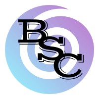 Business Solutions Consulting logo - Similar company to Losika Consulting