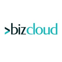 Bizcloud Information Technologies LLC logo - Similar company to Triway-Technologies Llc