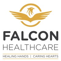 Falcon HealthCare logo - Similar company to Cappricos Technology Solutions
