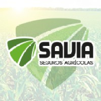 Savia Seguros logo - Similar company to Consultant Contabilidade E Consultoria