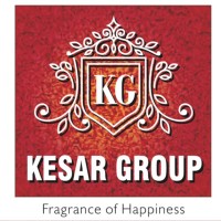 Kesar Group logo - Similar company to Compass Realty Solutions