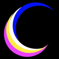 Chayil Information Technology logo - Similar company to Virtualflex Nz, Png & Pacific