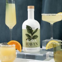 Kava Haven logo - Similar company to Live Deeply