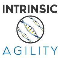 Intrinsic Agility logo - Similar company to B.Derev