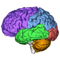 TJ's Biomedical Imaging logo - Similar company to Spect