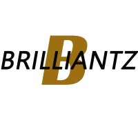 Brilliantz logo - Similar company to Redgo Norway As