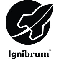 Ignibrum logo - Similar company to Delta System