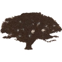 Mustard Seed Consultants logo - Similar company to Capital Plus Auditing Of Accounts