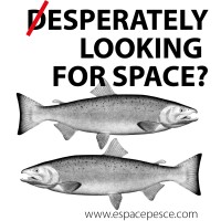 ESPACEPESCE logo - Similar company to Artem Prod