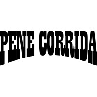 Pene Corrida logo - Similar company to Veejays.Com